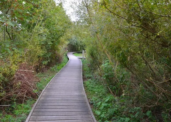 Maison Noomi Or * Knokke-Heist